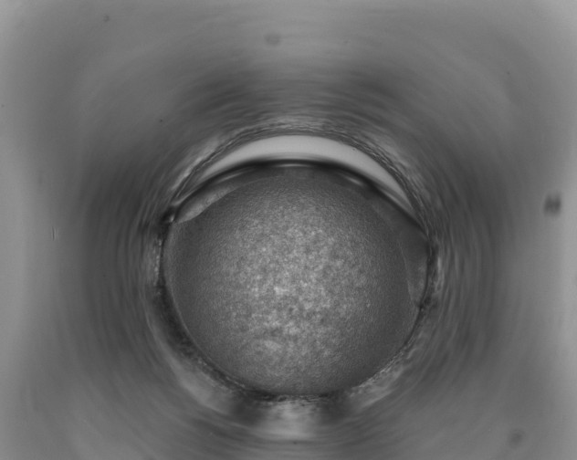 X0000090630168200707241200