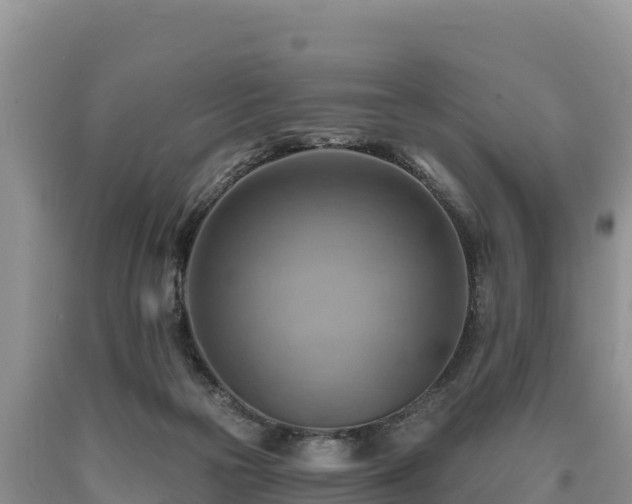 X0000090630169200707241200