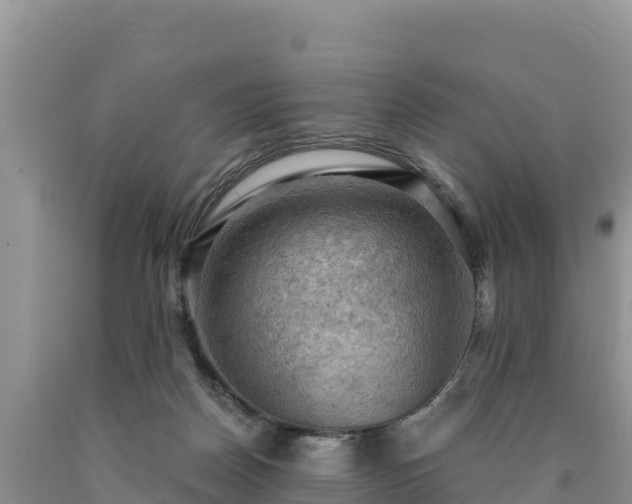 X0000090630170200707241201