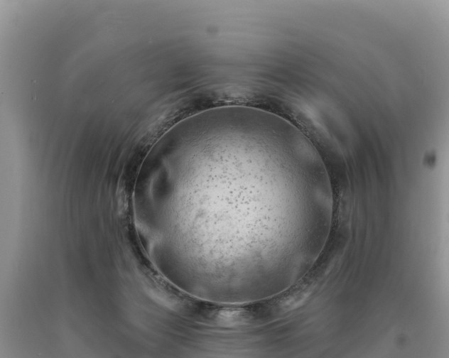 X0000090630173200707241201