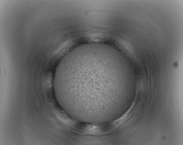 X0000090630174200707241201