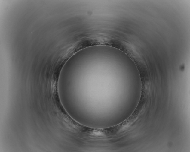 X0000090630177200707241201