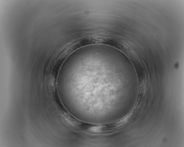 X0000090630178200707241201