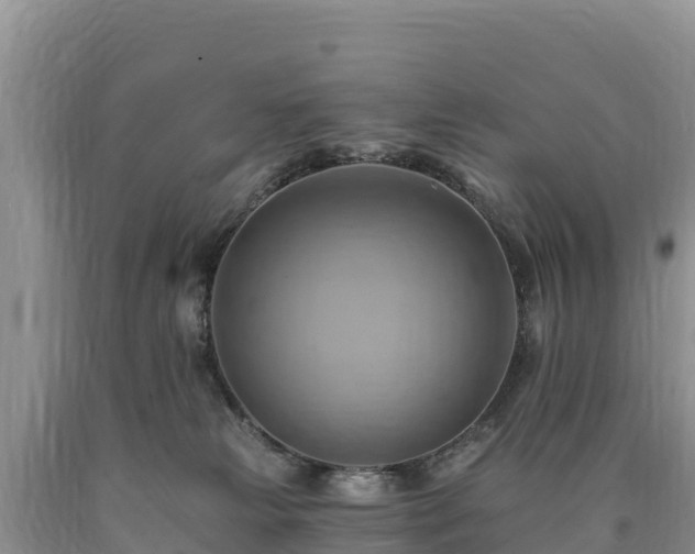 X0000090630181200707241201