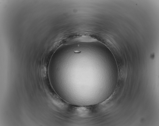 X0000090630183200707241201