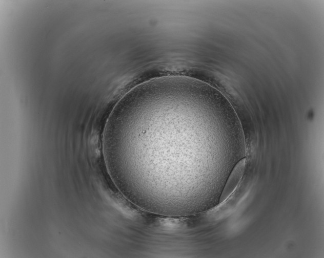 X0000090630187200707241201