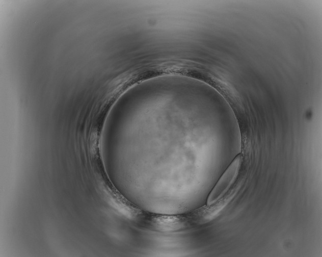 X0000090630189200707241201