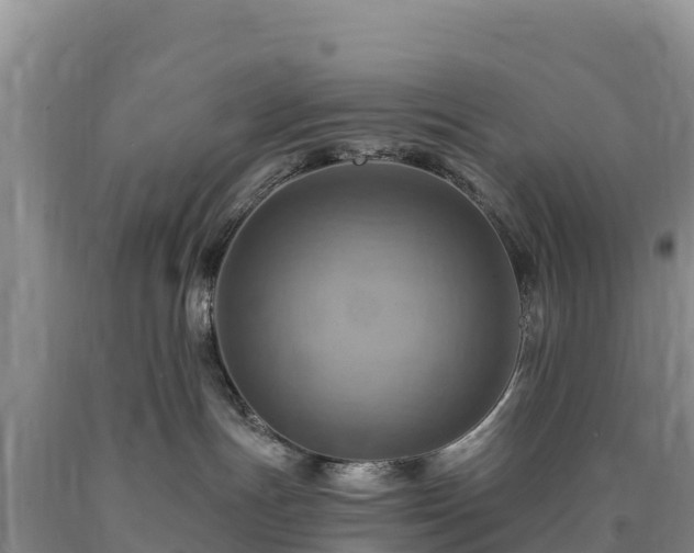 X0000090630191200707241201