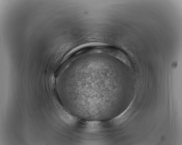 X0000090630192200707241201