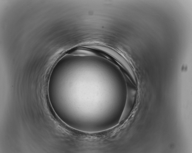 X0000090630193200707241200
