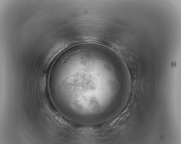 X0000090630194200707241200