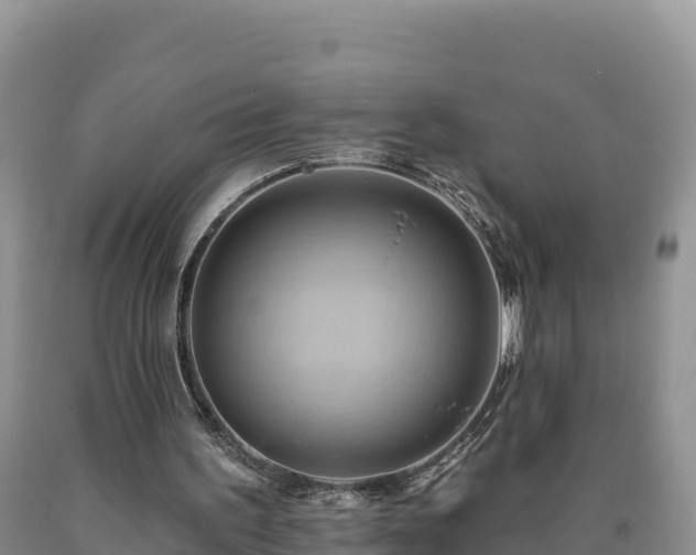 X0000090630195200707241200