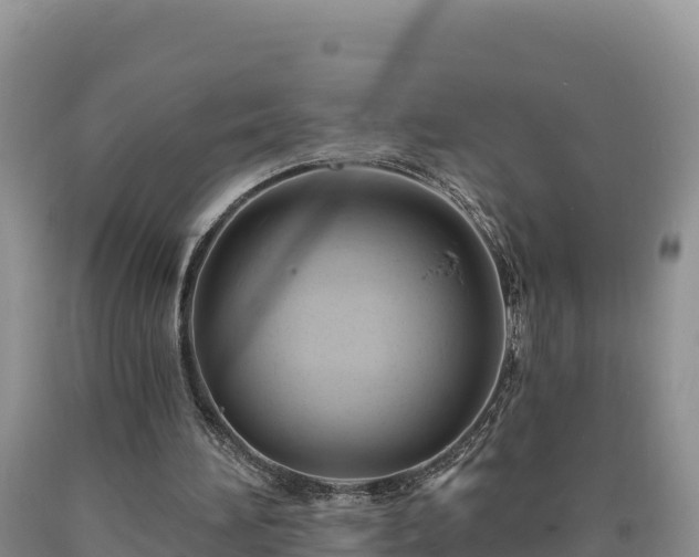 X0000090630196200707241200