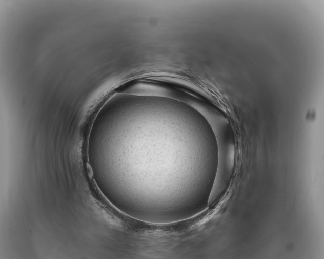 X0000090630197200707241200