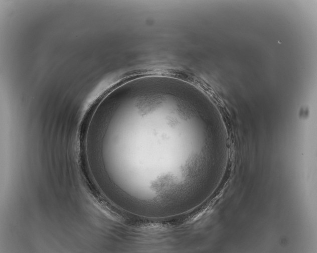 X0000090630198200707241200