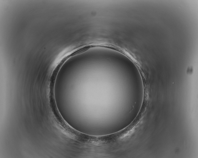 X0000090630199200707241200