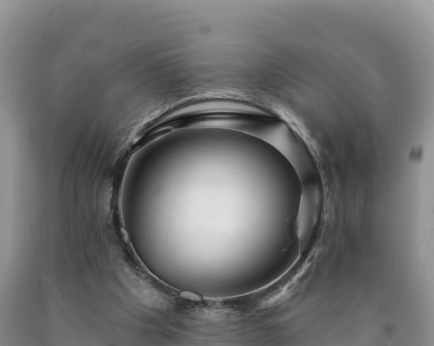 X0000090630201200707241200
