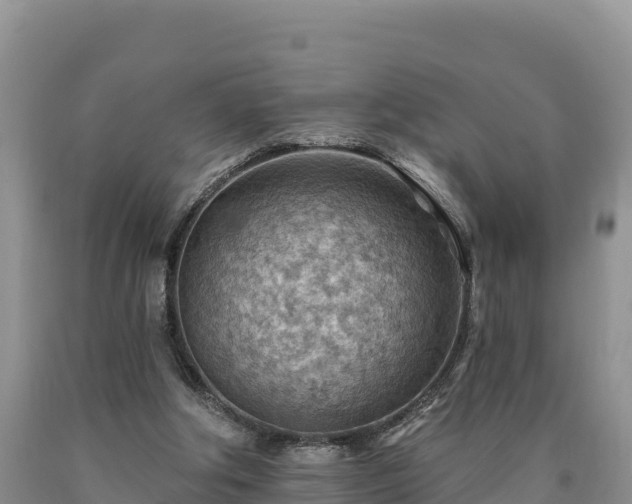 X0000090630202200707241200