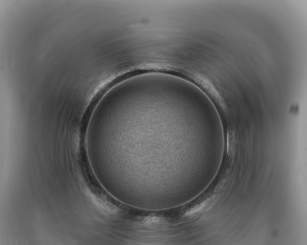 X0000090630204200707241200