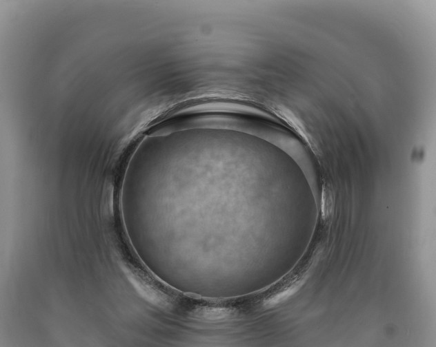 X0000090630205200707241200