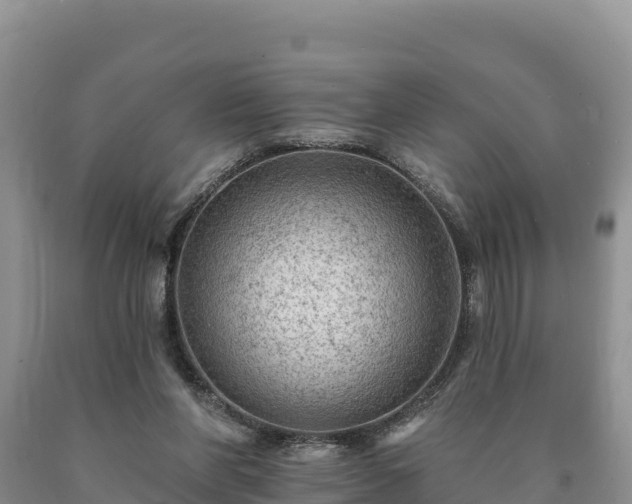 X0000090630206200707241200