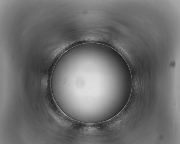 X0000090630208200707241200