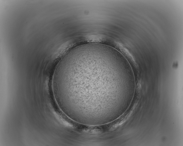 X0000090630209200707241200