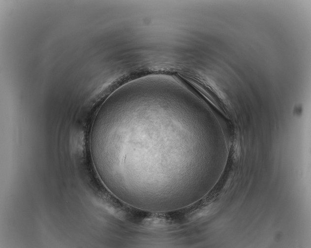 X0000090630211200707241200