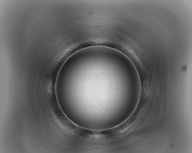 X0000090630212200707241200