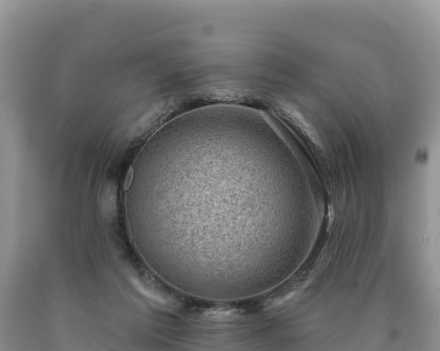 X0000090630213200707241200
