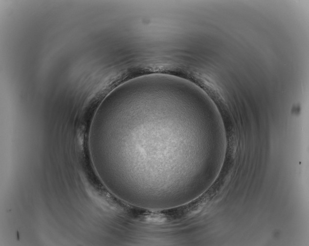 X0000090630214200707241200