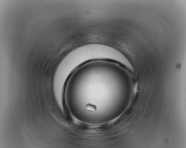 X0000090630215200707241200