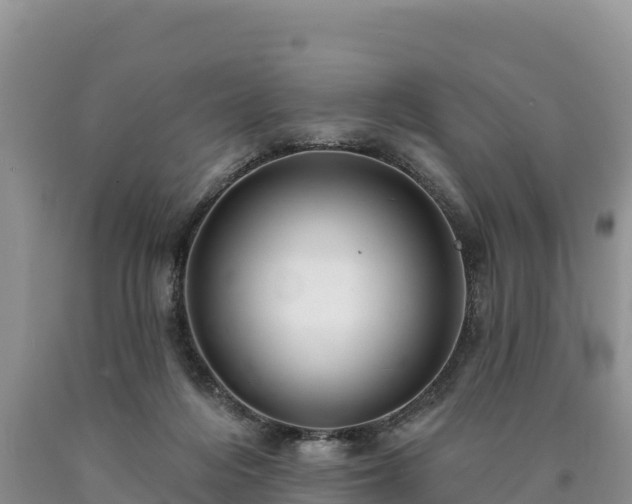 X0000090630216200707241200