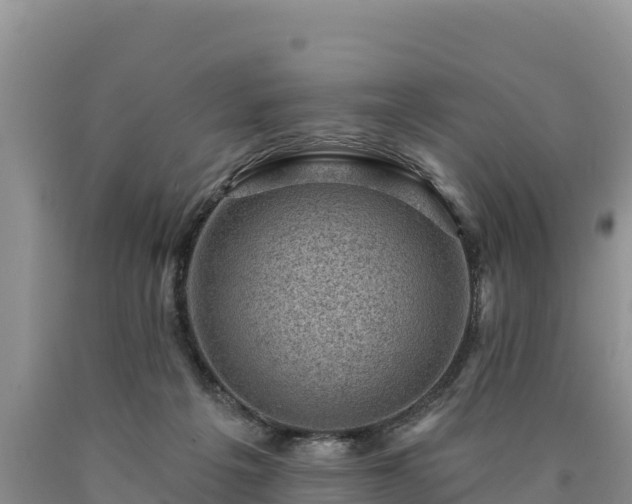 X0000090630217200707241200