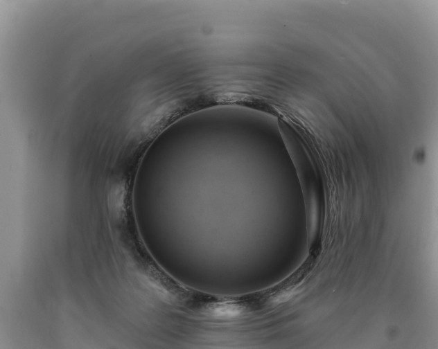 X0000090630219200707241200