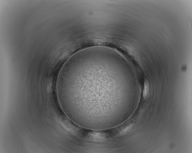 X0000090630221200707241200