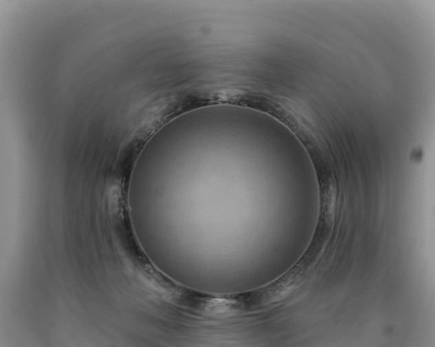 X0000090630222200707241200