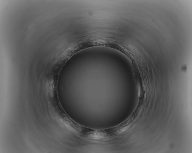 X0000090630223200707241200