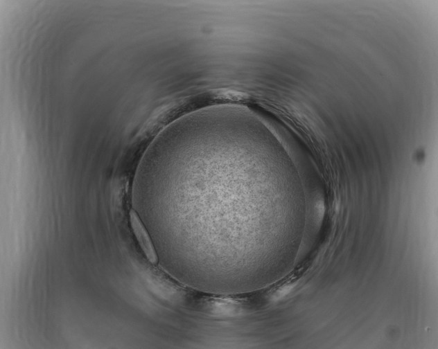 X0000090630229200707241200
