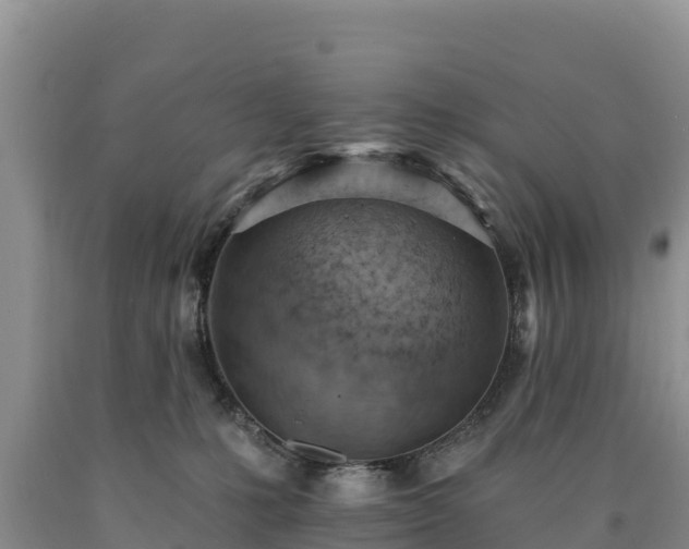X0000090630231200707241200