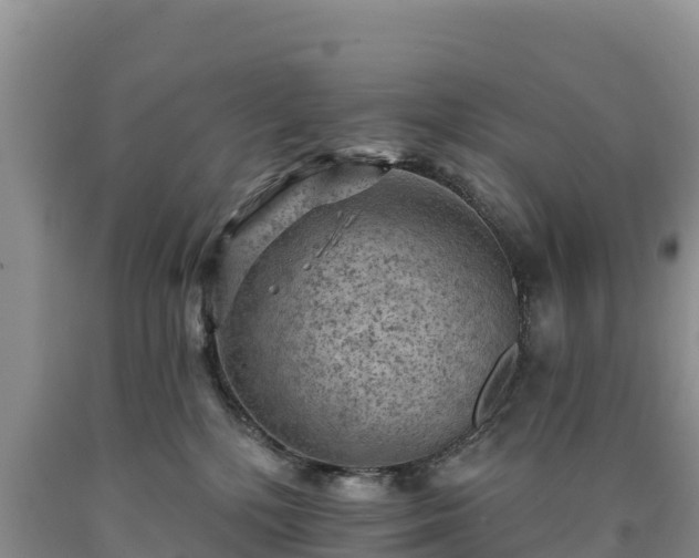 X0000090630232200707241200