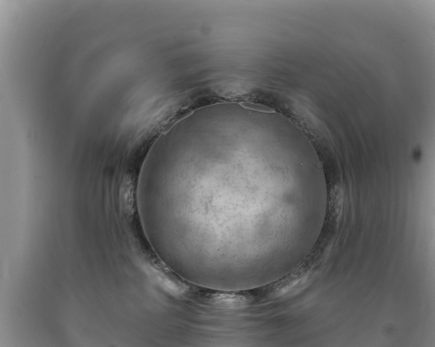 X0000090630234200707241159