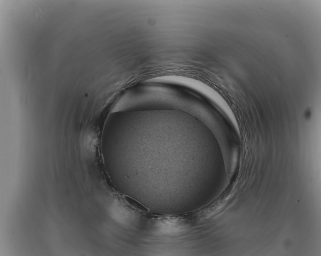 X0000090630235200707241159