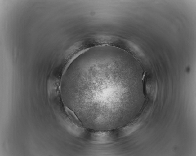 X0000090630237200707241159
