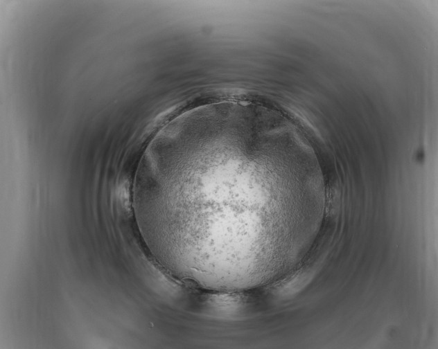 X0000090630238200707241159