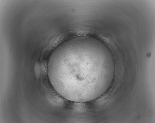 X0000090630240200707241159