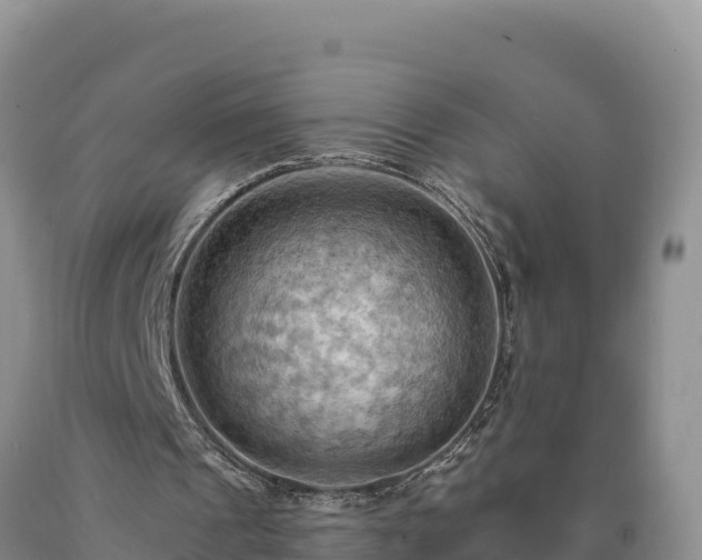 X0000090630241200707241159