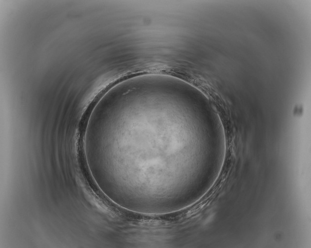 X0000090630242200707241159