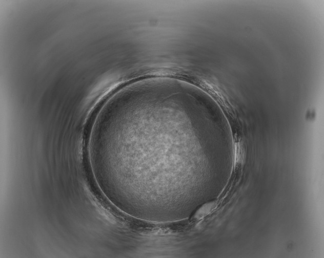 X0000090630243200707241159