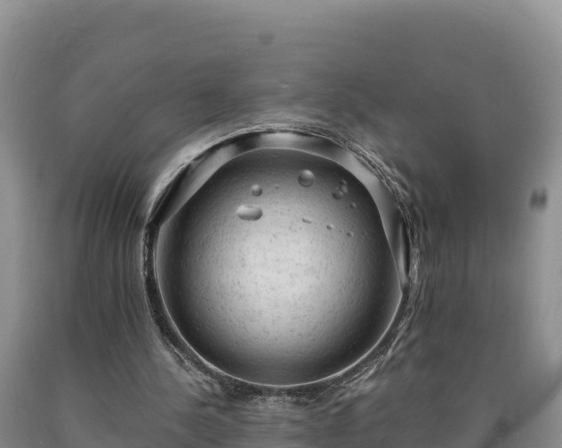 X0000090630244200707241159